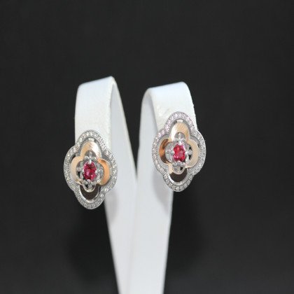 Сережки 408 альпініт клюква Rh Timofeev 2